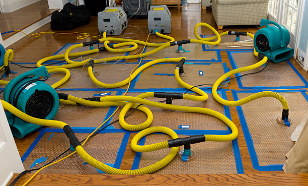 Professional Structural Drying And Dehumidification technician working in Amboy, IL